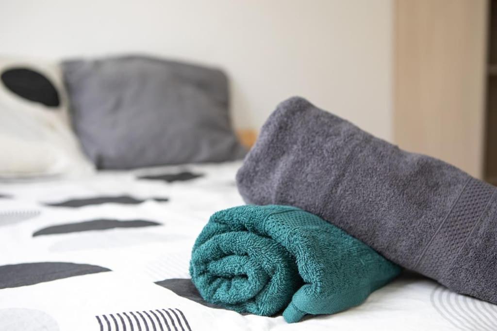Suite Lumineux Et Moderne, Parking Gratuit, Mulhouse Centre Exterior photo